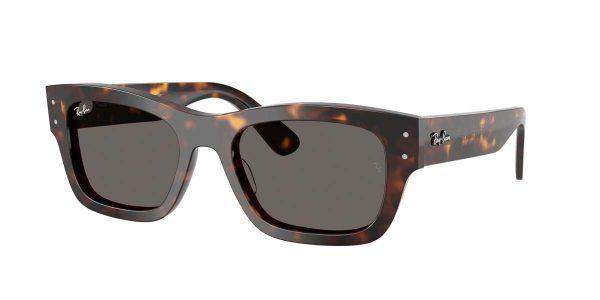 Gafas Ray Ban 7683S