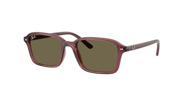 Gafas Ray Ban 9131S